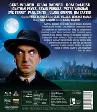 Cargar imagen en el visor de la galería, Terrorifica luna de miel (Haunted Honeymoon) (Bluray Nuevo)