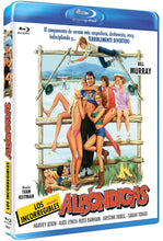 Cargar imagen en el visor de la galería, Los incorregibles albondigas (Meatballs) (Bluray Nuevo)